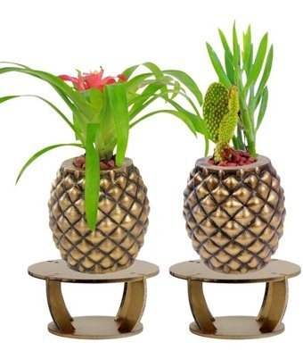 Evene Ahşap Ayaklı Beton Büyük Boy Set 2 Adet Ananas Model Saksı Altın Eskitme