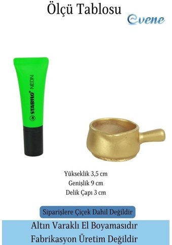 Evene Mini Sukulent Kaktüs Tava Model Saksı Altın