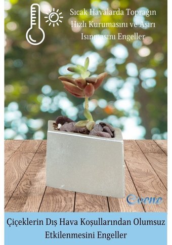 Evene Mini Çiçek Küçük Sukulent Kaktüs Dörtgen Yatay Model Saksı Gümüş