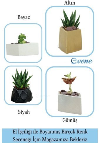 Evene Mini Çiçek Küçük Sukulent Kaktüs Dörtgen Yatay Model Saksı Gümüş