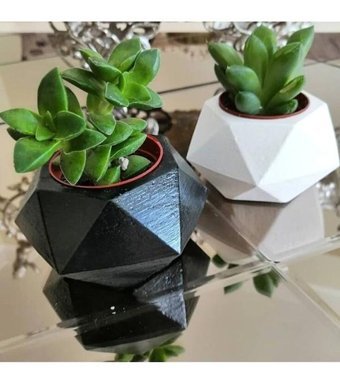 Florada 2 Adet Sukulent Kaktüs Saksı Seti