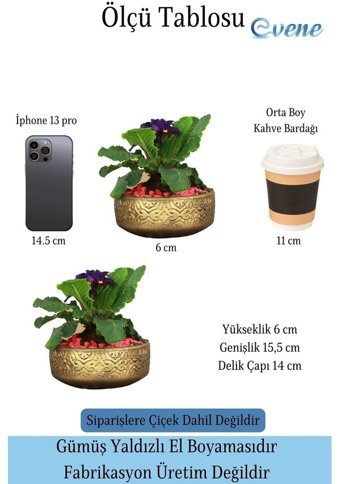 Evene Çiçek Saksısı Beton Saksı Büyük Model Saksı Altın Eskitme