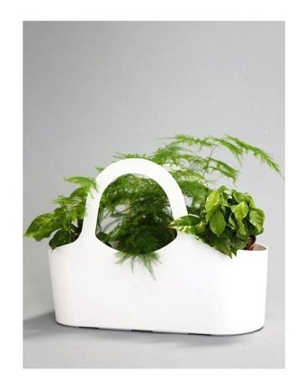 Greenmall TBasket Smart Özel Tasarım Saksı Beyaz Saksı