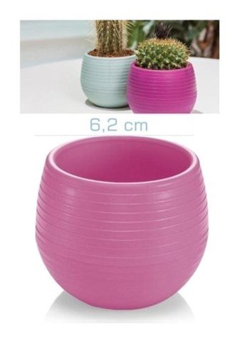 Hiper Kaktüs 0.13 lt Saksı Eflatun