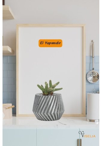 Evene Küçük Dişli Model Saksı Gümüş