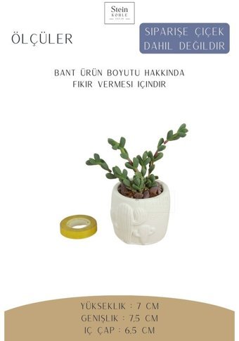 Evene Dekoratif Minik Kaktüs Model Saksı Beyaz