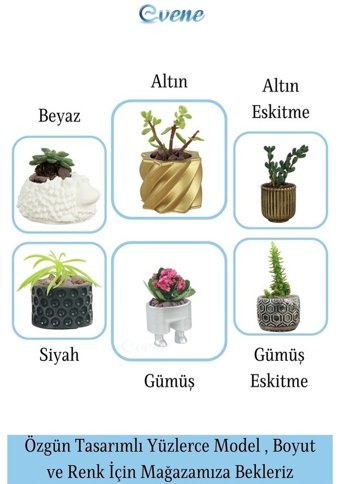 Evene Eskitme Kaktüs Saksı Altın