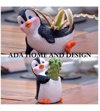 Florada Sukulent 2 Adet Minnoş Penguen Saksı Çok Renkli