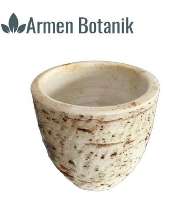 Armen Botanik Toprak Antik Görünümlü Eskitme Saksı Beyaz
