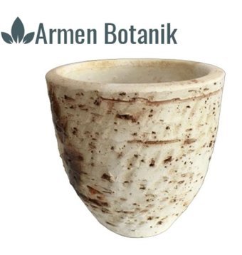 Armen Botanik Toprak Antik Görünümlü Eskitme Saksı Beyaz