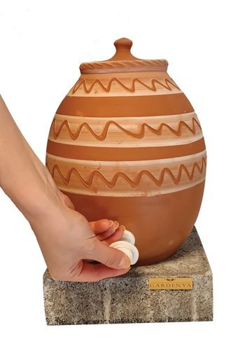 Bitki Fidanım Tombul Toprak Sebil Büyük 4.5 lt Saksı