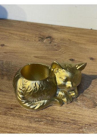 Pointflowers Altın Kedi Sukulent Kaktüs Saksı