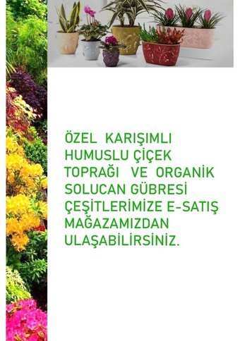 Montesev Bahar Dekoratif 2.5 lt Saksı Mor