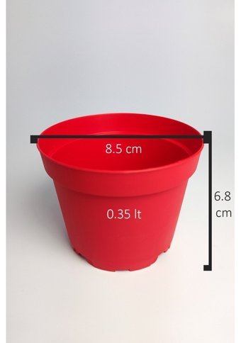 Tekpar Kaktüs Sukulent 5 Adet Tekpar Üretim Saksı Saksı Kırmızı