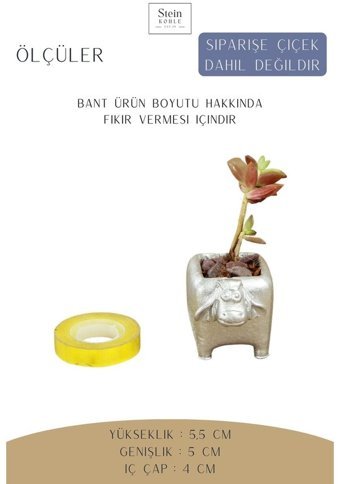 Evene Dekoratif Minik Kaktüs Mini Inek Model Saksı Gümüş