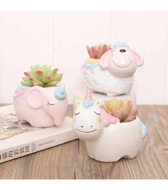 Florada Unicorn ve Arkadaşları 3 Adet Sevimli Sukulent Kaktüs Saksı