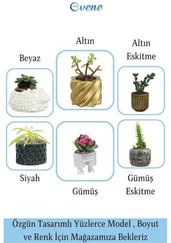 Evene Saksı Çiçek Kaktüs Lüx Burgulu Desen 2 Adet Set Çiçeklik Saksı