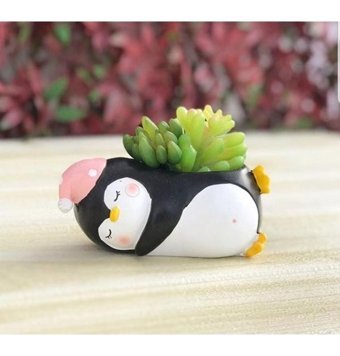 Florada Sevimli Tembel Hayvan Penguen Sukulent Kaktüs Saksı