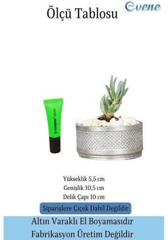 Evene Kaktüs Dekoratif Model Saksı Gümüş Eskitme