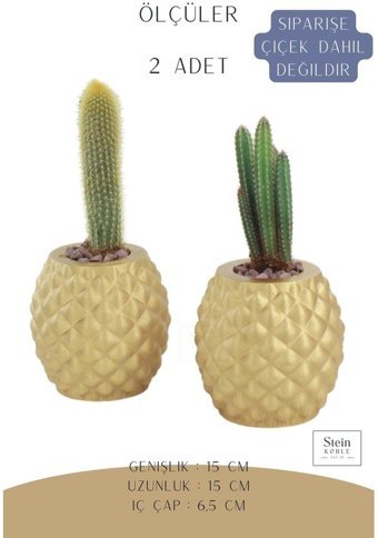 Evene Büyük Boy 2 Adet Ananas Model Saksı Altın