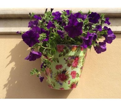 House2Home Plastik Güllü Duvar Saksı Yeşil