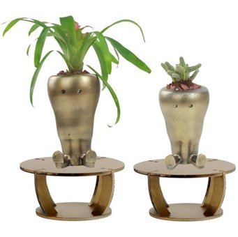 Evene Ahşap Ayaklı Beton 2 Adet Büyük Boy Set Havuç Model Saksı Altın Eskitme