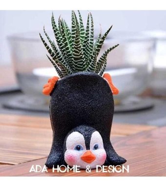 Florada Sukulent Kaktüs Minnoş Penguen 2 Adet Saksı