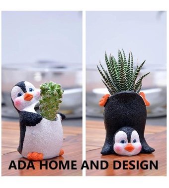 Florada Sukulent Kaktüs Minnoş Penguen 2 Adet Saksı