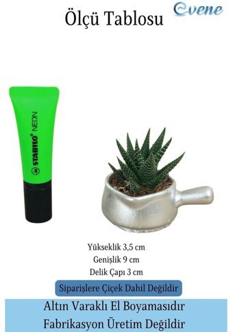Evene Mini Sukulent Kaktüs Tava Model Saksı Gümüş