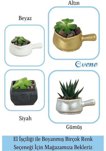 Evene Mini Sukulent Kaktüs Tava Model Saksı Gümüş