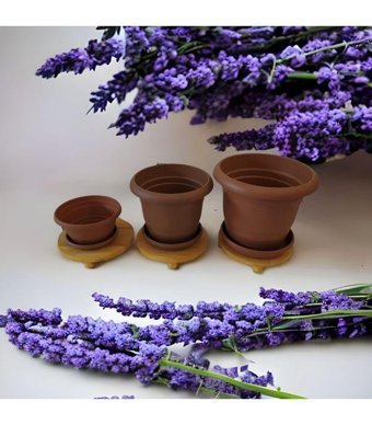 Bahat Plastik Çam Ağacı Saksı 6 Adet Ahşap