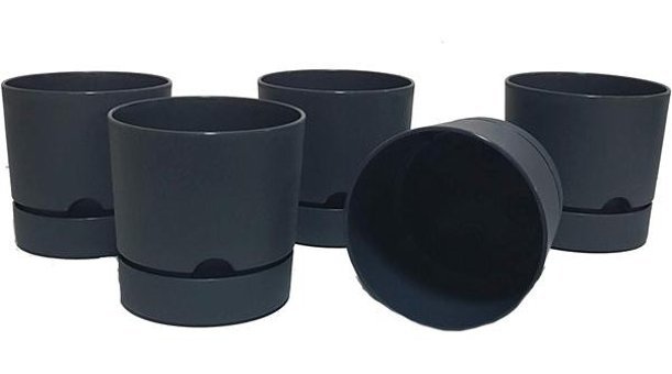 Poliwork Plastik Tabaklı Saksı Çok Renkli