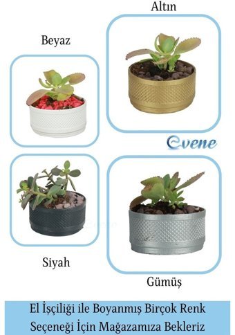 Evene Kaktüs Saksı Siyah