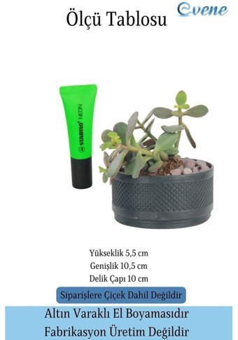 Evene Kaktüs Saksı Siyah