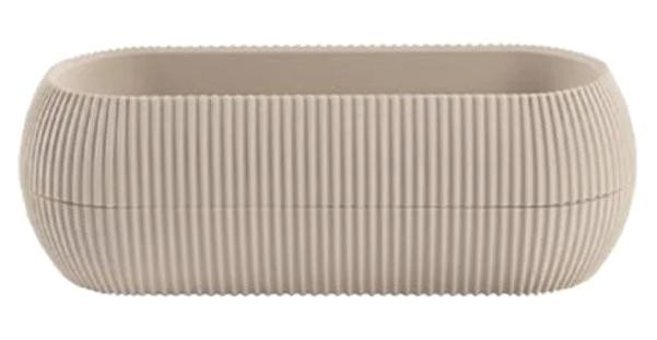 Sağlam Kaktüs Sukulent 0.55 lt Balkon Saksı