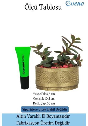 Evene Saksı Kaktüs Saksısı Dekoratif Saksı Model 12 Altın Eskitme