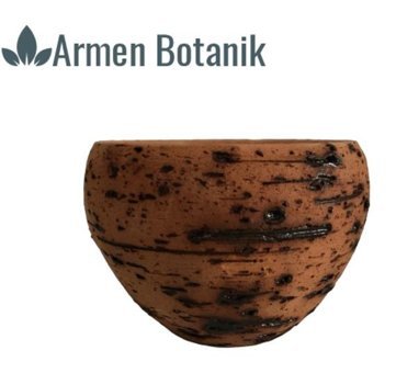 Armen Botanik Antik Görünümlü Eskitme Toprak Saksı
