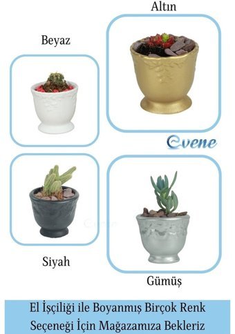 Evene Saksı Altın