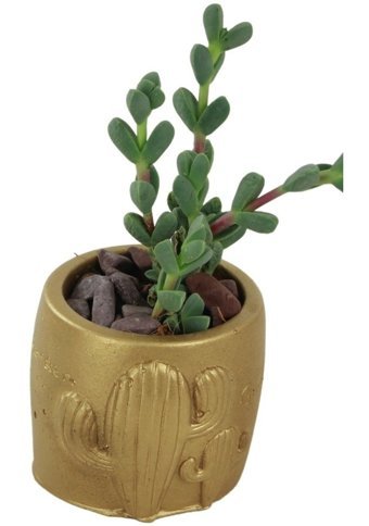 Evene Dekoratif Minik Kaktüs Model Saksı Altın