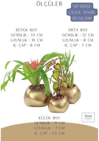 Evene Büyük Boy 3 Adet Spiral Oval Model Saksı Altın Eskitme