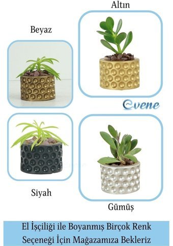 Evene Mini Çiçek Sukulent Kaktüs Puantiyeli Model Saksı Siyah