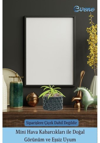 Evene Mini Çiçek Sukulent Kaktüs Puantiyeli Model Saksı Siyah