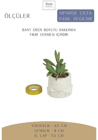 Evene Dekoratif Minik Kaktüs Deniz Ürünlü Model Saksı Beyaz
