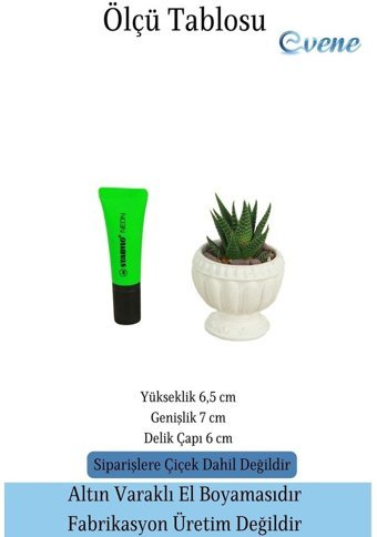 Evene Mini Sukulent Kaktüs Antika Vazo Model Saksı Beyaz