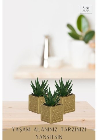 Evene Dekoratif Minik Kaktüs Mini Kare Model Saksı Altın