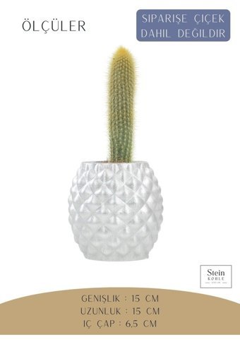 Evene Büyük Boy Ananas Model Saksı Gümüş