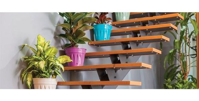 Fidansepetim Revak 11 lt Saksı Fıstık Yeşili