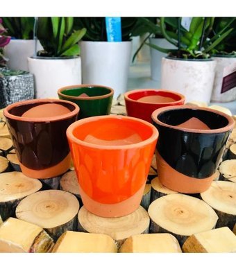 Özen Çiçekçilik Oval Sırlı Desenli Model Kaktüs Sukulent Için Uyumlu Çömlek Saksı Bordo