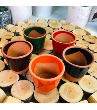 Özen Çiçekçilik Oval Sırlı Desenli Model Kaktüs Sukulent Için Uyumlu Çömlek Saksı Bordo