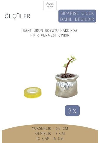 Evene Dekoratif 3 Adet Minik Kaktüs Kese Model Saksı Gümüş